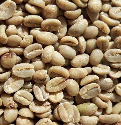 Rohkaffee 1 x 4 Kg Etiopian Yirgacheffe