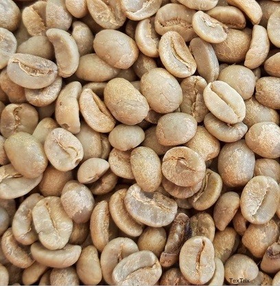 Rohkaffee Guatemala 1 x 4 Kg